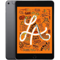 Apple iPad Mini 5 256GB 4G LTE CELLULAR Space Grau IN BUONE CONDIZIONI
