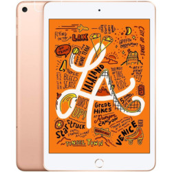 Apple iPad Mini 5 256GB 4G LTE CELLULAR Gold IN GOEDE STAAT