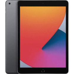 Apple iPad 10,2" (2020) 8e génération 32 Go Gris sidéral PEU UTILISÉ