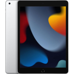 Apple iPad 10,2" (2021) 9. Generation 64 GB Silber WENIG GEBRAUCHT