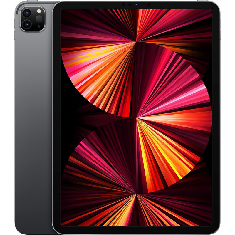Apple iPad Pro 11" 2021 3rd gen 256GB WiFi + 5G Cellular Gris Espacial POCO USATO