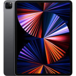 Apple iPad Pro 12,9" 2021 5th gen 128GB WiFi + 5G Cellular Space Grau IN GOEDE STAAT