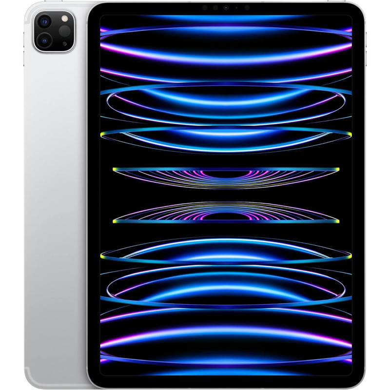 Apple iPad Pro 11" 2022 4th gen 128GB WiFi + 5G Cellular Plata ECCELLENTE
