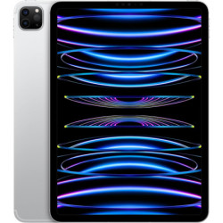 Apple iPad Pro 11" 2022 4th gen 256GB WiFi + 5G Cellular Plata POCO USATO