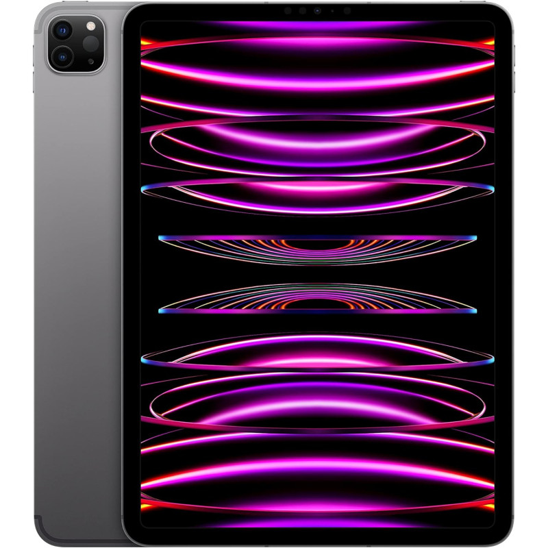 Apple iPad Pro 11" 2022 4th gen 512GB WiFi + 5G Cellular Space Grau AUSGEZEICHNET ECCELLENTE