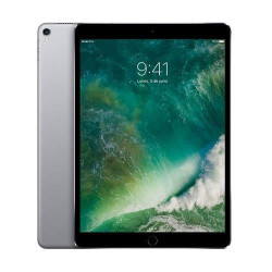 Apple iPad Pro 10,5" 256GB Wifi + 4G Gris Espacial POCO USADO