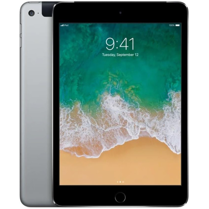 Apple iPad Mini 4 128GB WiFi + 4G Gris Espacial IN GOEDE STAAT